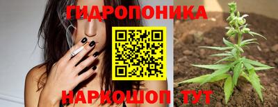 гашик Бузулук
