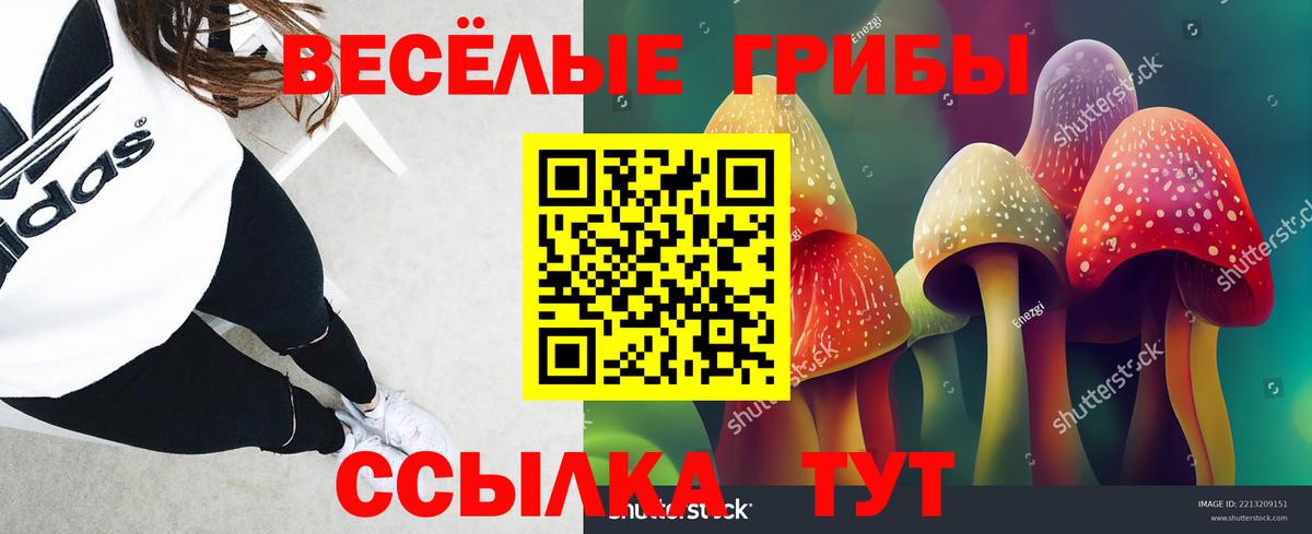 Сальск  даркнет сайт  Галлюциногенные грибы Magic Shrooms  Вход с VPN  Псилоцибиновые грибы MAGIC MUSHROOMS 