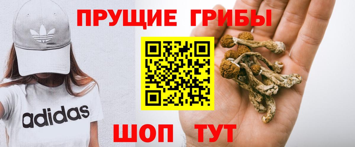 Псилоцибиновые грибы GOLDEN TEACHER Сальск