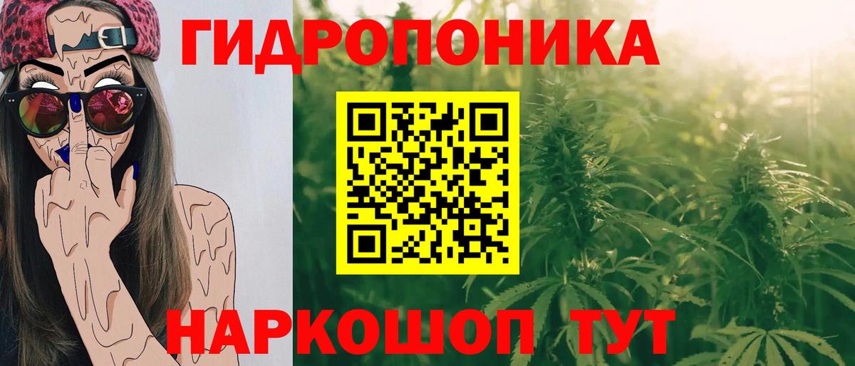 Канабис SATIVA & INDICA Сальск
