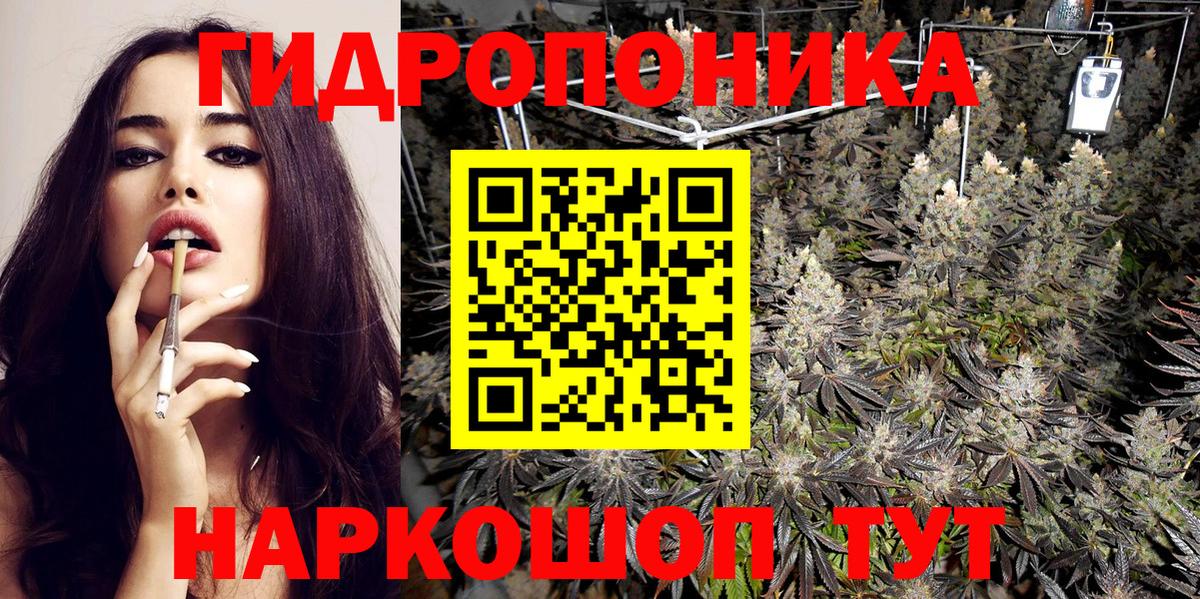 Конопля Bruce Banner  Конопля Bruce Banner  Канабис Amnesia  Вход с VPN  Сальск 